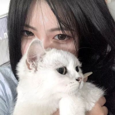 云开平台app最新版下载手机版