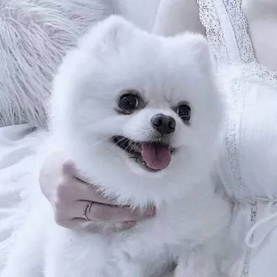 万博·体育手机app下载