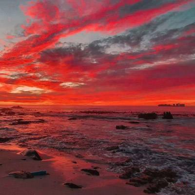 金年会体育登录入口