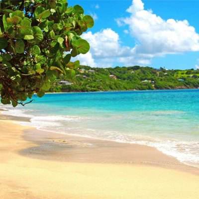 ku体育app官网版下载